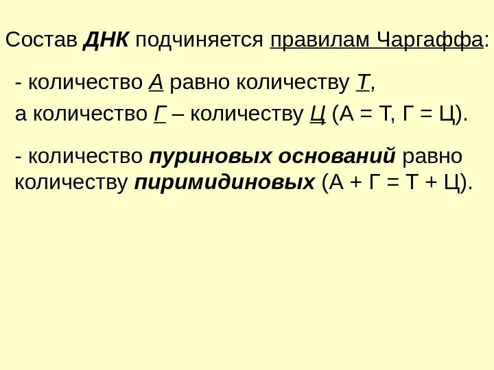 Правило чаргаффа. Правило Чаргаффа равенство.