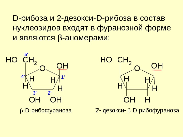 Рибоза образуется. Аномеры 2 дезокси д рибозы. 2 Дезокси b d рибофураноза формула. Д рибоза фуранозная форма. Аномеры рибозы.