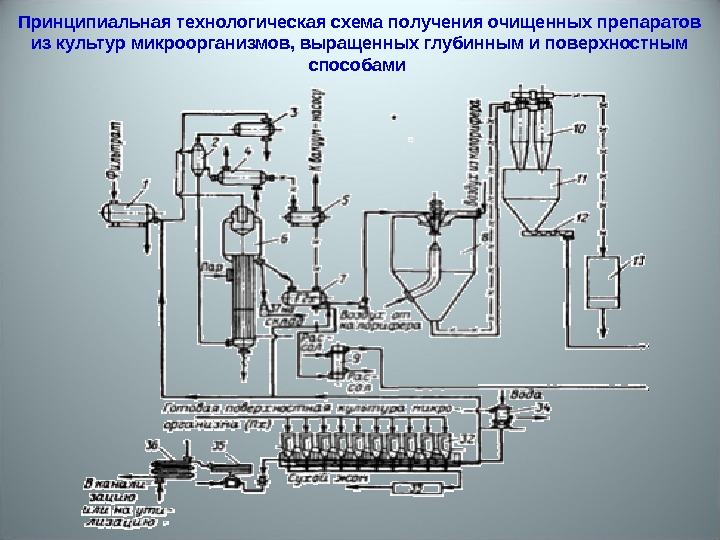 Технологическая схема производства максимально очищенных фитопрепаратов не включает