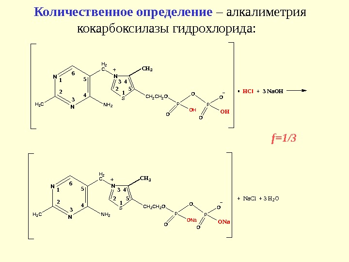 Количественное определение бактерий