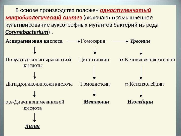 Схема микробиологического синтеза аминокислот