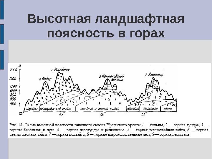 Высотная поясность урала рисунок