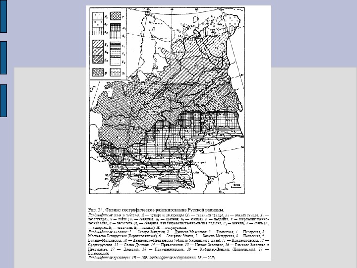 Схема физико географического районирования