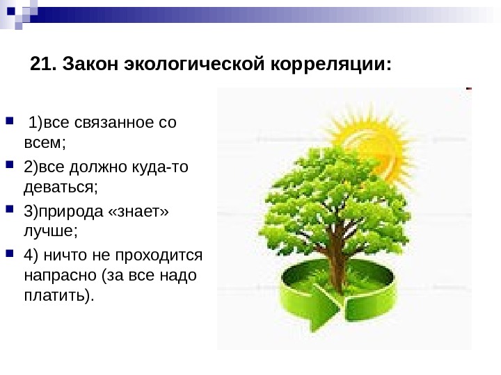 Какие есть экологические законы. Закон экологической корреляции. Закон корреляции экология. Экологические законы. Экологическая корреляция.