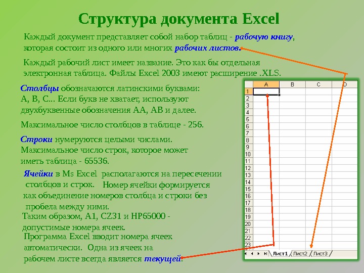 Рабочая книга состоит из. Из чего состоит электронная таблица excel. Структура документа excel. Структура электронных таблиц MS excel. Структура документа представляет собой.