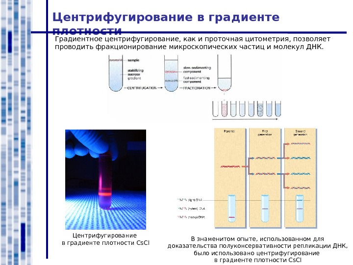 Градиент плотности. Центрифугирование в градиенте плотности. Метод градиентного ультрацентрифугирования. Центрифугирование в градиенте плотности CSCL. Для центрифугирования в градиенте плотности используют.