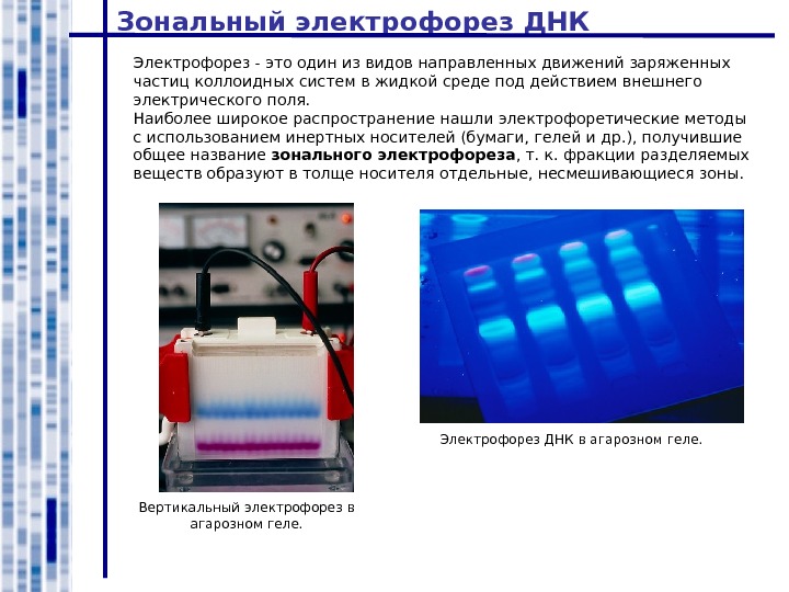 Капиллярный электрофорез презентация