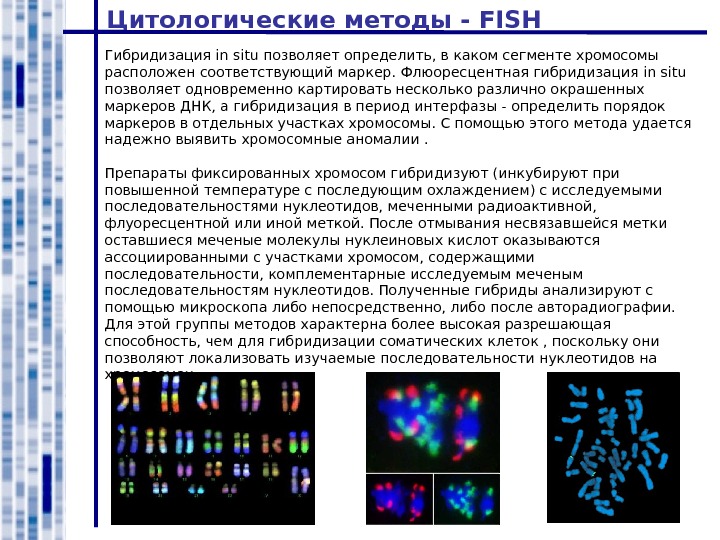 Цитологическая карта это