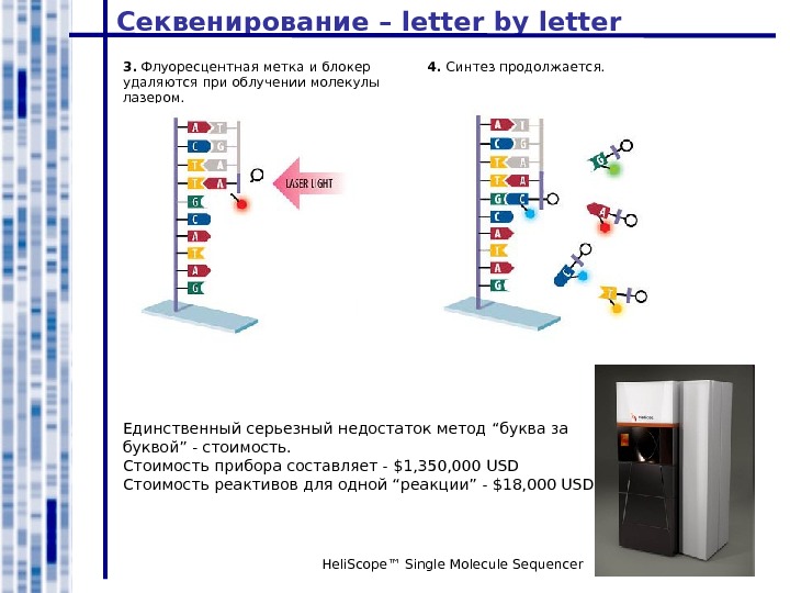 Метод букв. Секвенирование по Сэнгеру флуоресценция. Флуоресцентные метки секвенирование. Метод секвенирования с использованием флуоресцентных меток. Секвенирование недостатки.