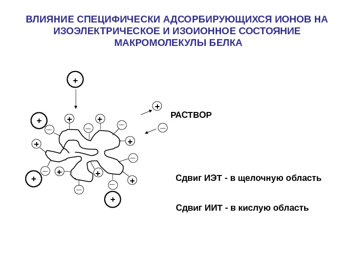 Состояние белков. Изоэлектрическое состояние белковой молекулы. Изоэлектрическое состояние белков характеризуется. Изоэлектрическое состояние белка. Изоэлектрическое состояние и изоэлектрическая точка белков.