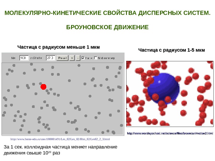 Дисперсные частицы. Молекулярно кинетические и оптические свойства дисперсных систем. Броуновское движение в дисперсных системах. Молекулярно-кинетические свойства дисперсных систем. Броуновское движение дисперсных частиц.