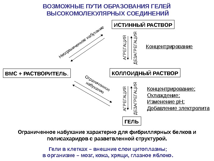 Вмс коллоидная растворы. Набухание растворов ВМС. Растворы высокомолекулярных соединений. Стадии растворения полимеров. Истинные растворы высокомолекулярных веществ это.