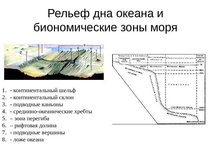 Схема глубинных зон океана распечатать