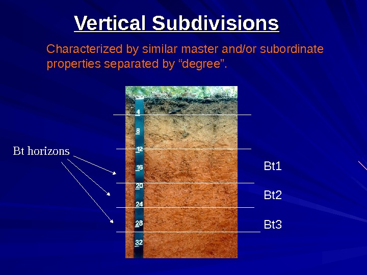 Soil Morphology And Classification E Horizon.