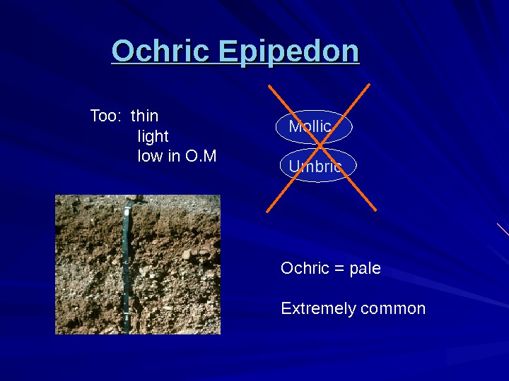 Soil Morphology And Classification E Horizon.