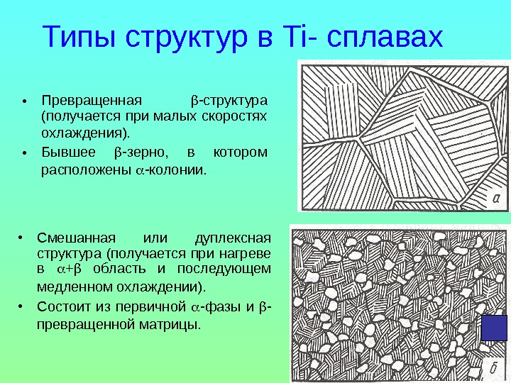 Какая структура представлена на рисунке. Дуплексная структура титанового сплава. Структура титановых сплавов. Тип структуры в титановых сплавах. Дуплексная структура.