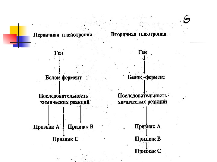 Типы и варианты наследования признаков План
