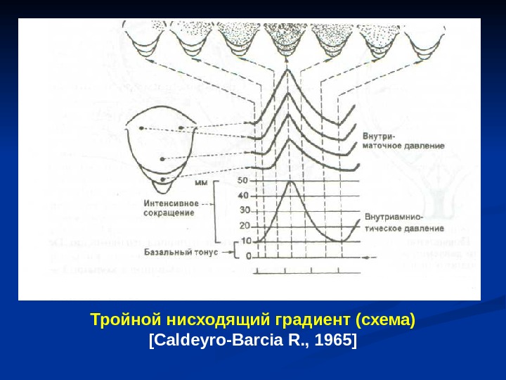 Градиентная схема обучения