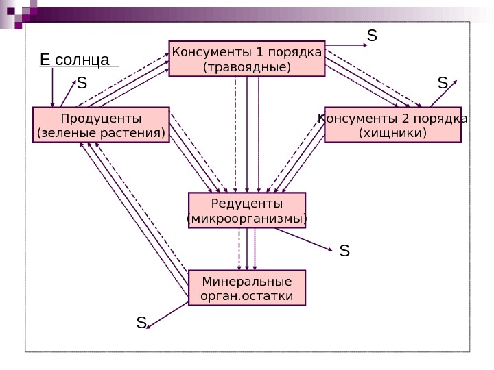 Консумент первого и второго порядка это. Консументы 1 порядка. Консументы 1 порядка и 2 порядка это. Консумент 1 порядка 2) консумент 2 порядка. Консументы первого порядка 2) продуценты.