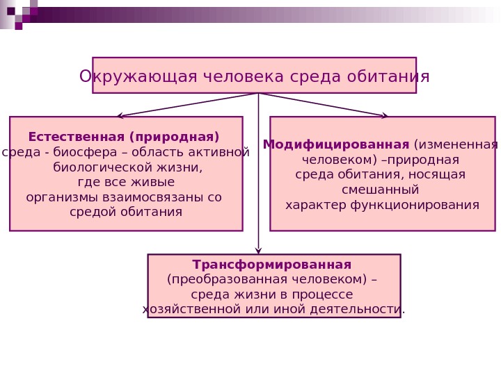 Среда жизни современного человека. Специфика окружающей среды. Компоненты среды обитания человека. Среда окружающая человека ее специфика и состояние. Специфика и состояние окружающей среды человека.