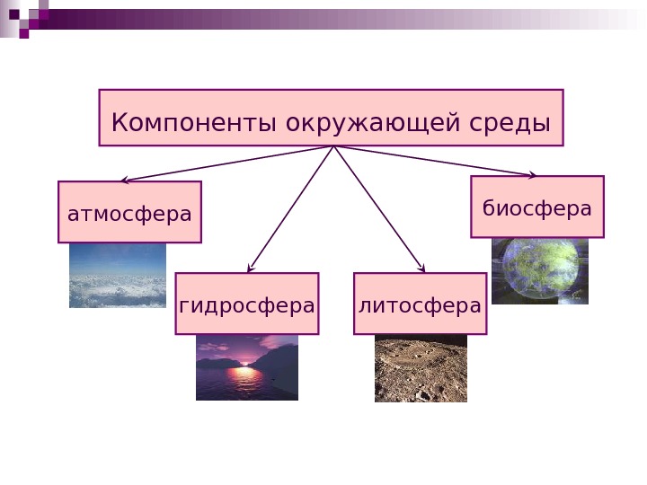 Социальная и природная среда человека 8 класс биология презентация