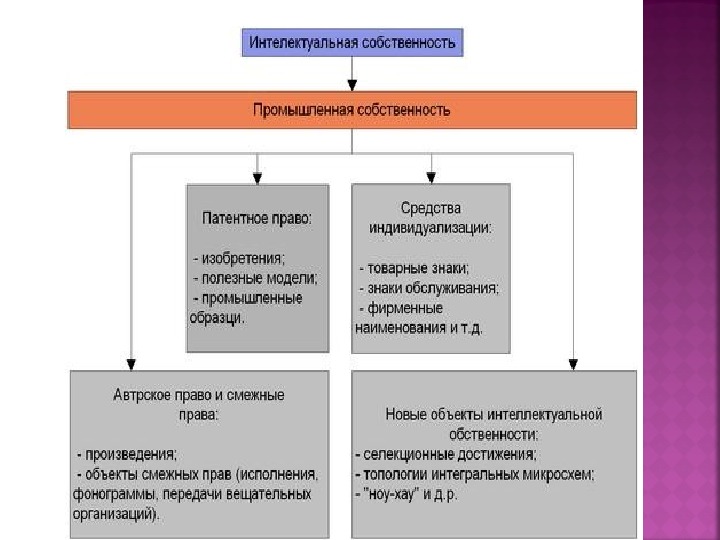 Составьте схему объекты авторских прав