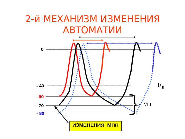 Проанализировав рисунок 2 объясните механизм автоматии сердца