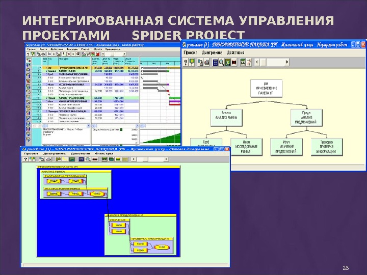 Spider программа управления проектами