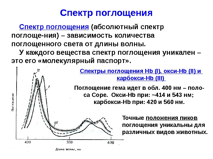 Спектральное поглощение. Спектральные параметры полос поглощения. Общий вид спектра поглощения в видимой области. Основные характеристики спектра поглощения. Общий вид спектра поглощения твердых тел.