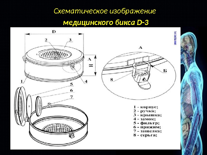 Методы получения медицинских изображений