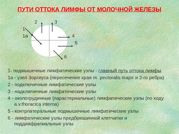 Мастэктомия по маддену фото