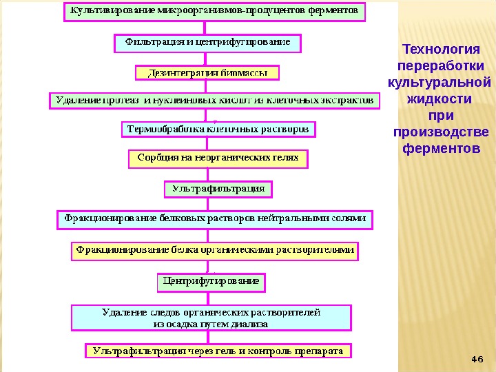 Схема производства лактобактерина