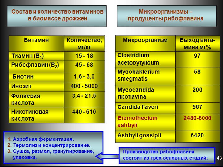 Технологическая схема получения витамина в2