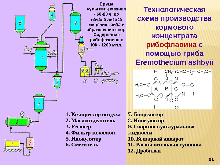 Технологическая схема лизина