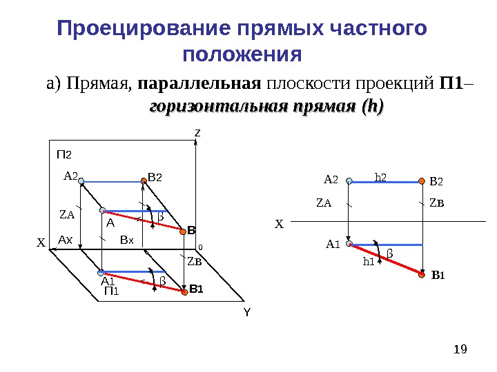 Проекция прямой на плоскость это. Горизонтально-проецирующая прямая параллельна п1 и п2. Проекция горизонтально проецирующей прямой на п1. Плоскости п1 параллельна плоскость. Прямая параллельная горизонтальной плоскости проекций.