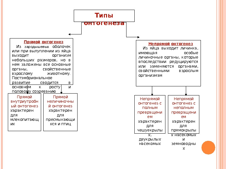 Онтогенез характерен. Таблица типы онтогенеза 9 класс. Типы онтогенеза прямой и непрямой. Типы онтогенеза таблица личиночный. Типы онтогенетического развития.