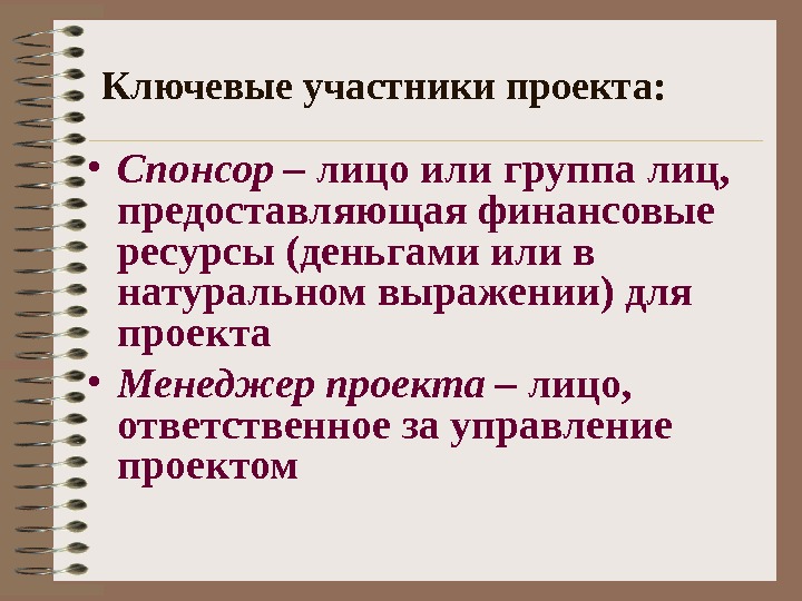 Участники проекта это лица