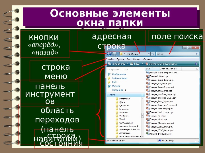 Основные элементы. Из каких элементов состоят окна папки или документа. Основные элементы акнопапки. Основные элементы окон папок. Обязательные элементы окна папки.