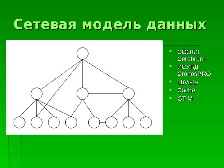 Презентация сетевая модель данных 11 класс