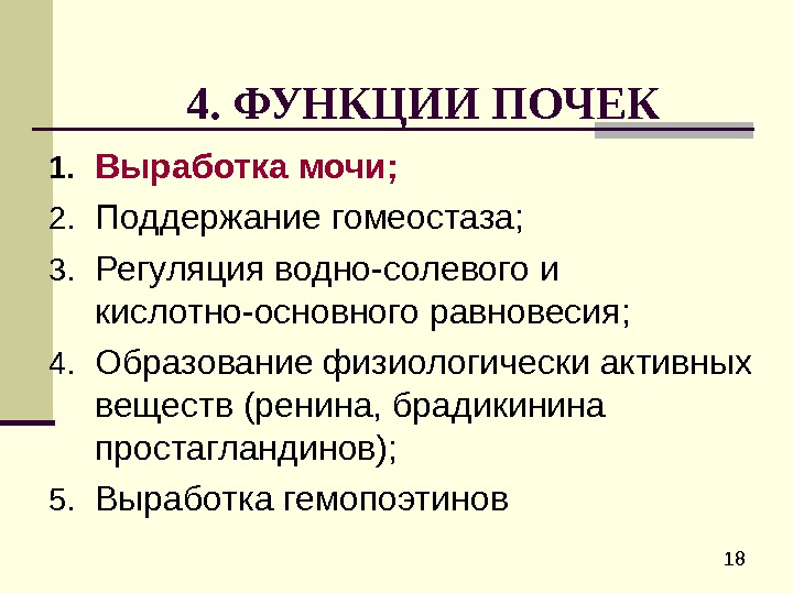 Функция почек луковицы