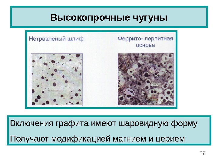 Высокопрочном чугуне графит. Материаловедение не травленый шлиф. Высокопрочный чугун на феррито-перлитной основе. Высокопрочный чугун структура. Форма графитных включений в высокопрочном чугуне.