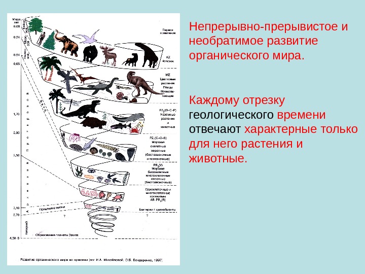 Схема развития органического мира