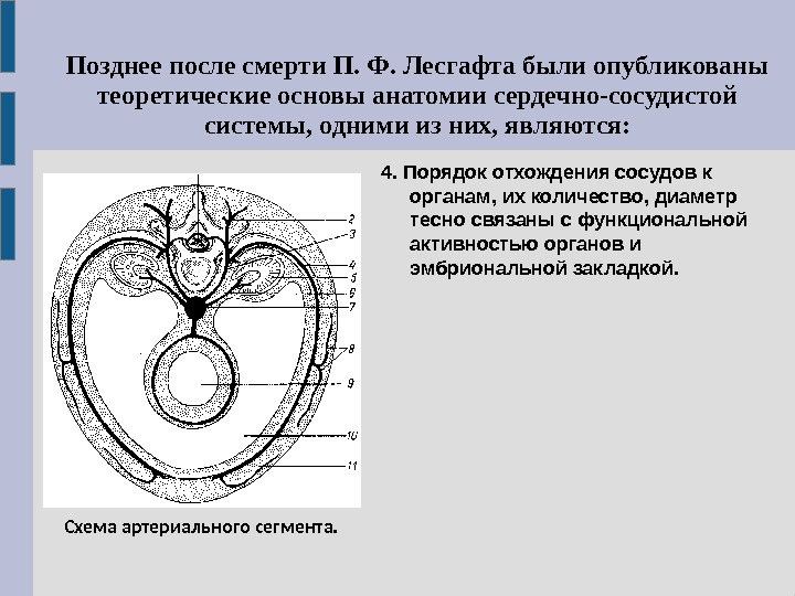 Технологическая карта физиология лесгафта