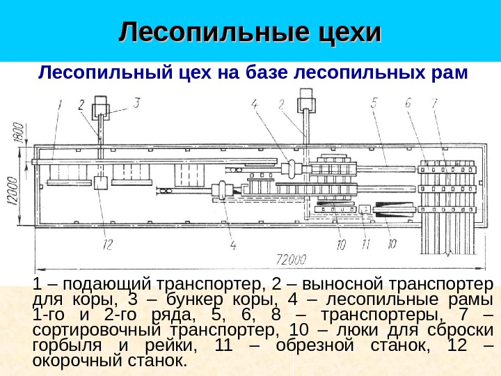 План лесопильного цеха