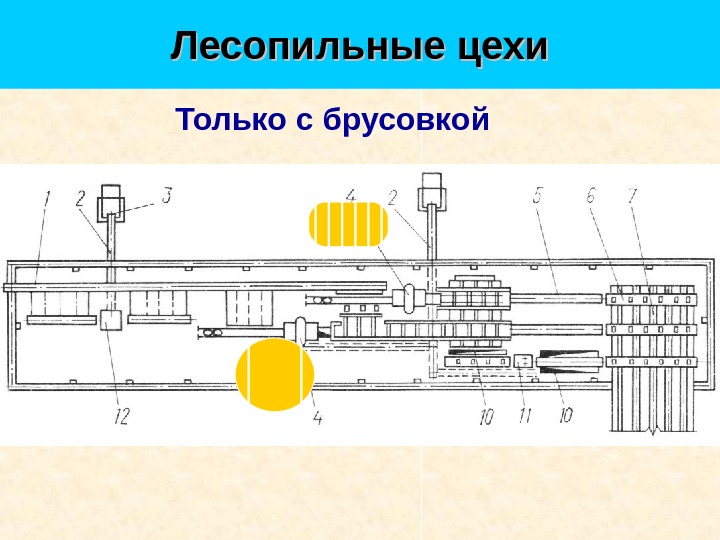 План лесопильного цеха