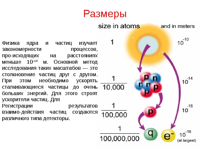 Состав ядра физика