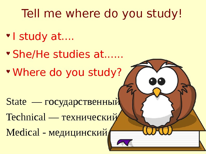 Where do you study. Where do you study ответ. Where you study. I study he studies.