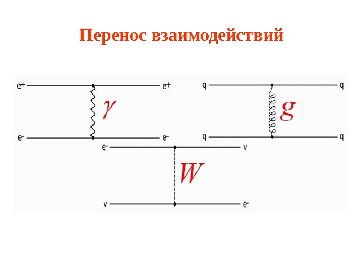 Лептоны презентация 11 класс