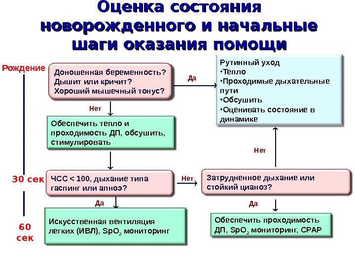 Оценка состояния новорожденного презентация