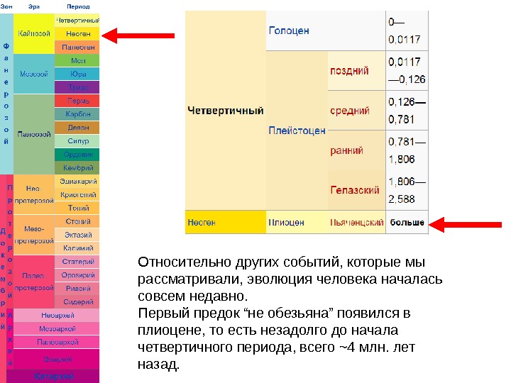 Других периодов. Четвертичный период. Периодизация четвертичного периода. Четвертичный период Голоцен. Плейстоцен и Голоцен.